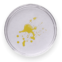 1. PEPTIDE & CERAMIDE BLEND