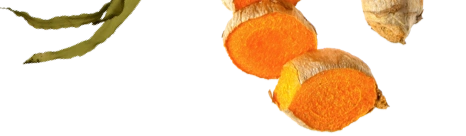 Top Image
